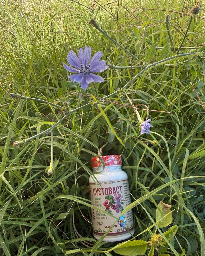 Cystobact – Kapseldose mit Cranberry-Motiv