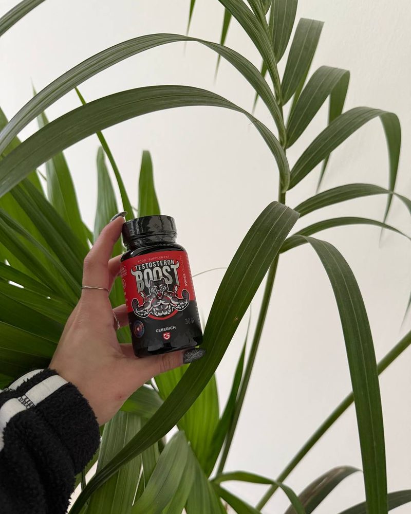 Testosteron Boost – schwarze Kapseldose mit Wolfsmotiv
